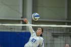 VB vs USCGA  Wheaton College Women's Volleyball vs U.S. Coast Guard Academy. - Photo by Keith Nordstrom : Wheaton, Volleyball